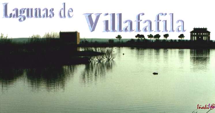 Lagunas de Villaffila